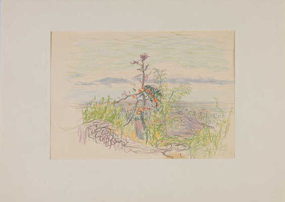 Белякова Екатерина Михайловна. Хурма и крыши 